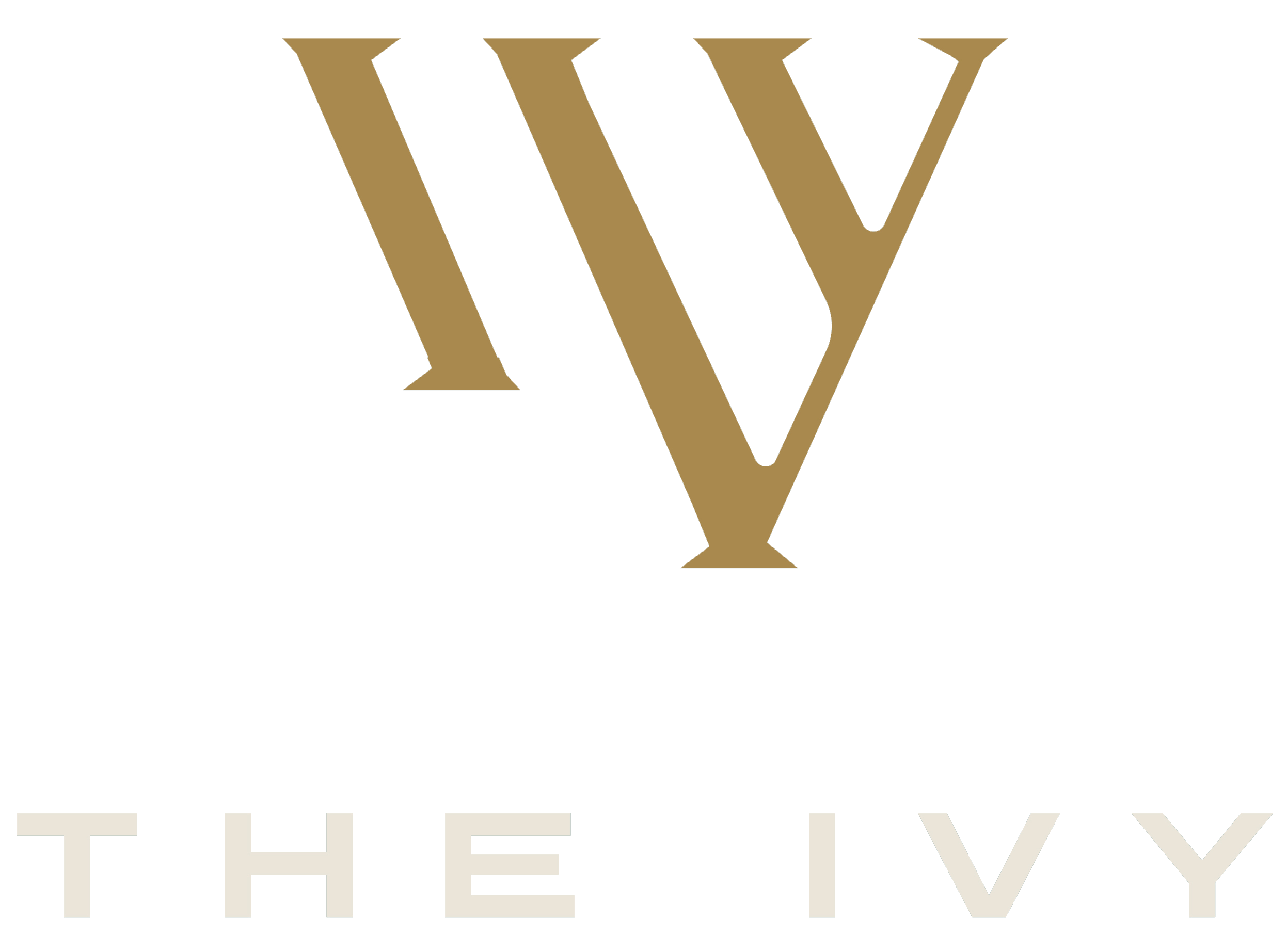 A black background with a large golden letter Y and the words "The Ivy" below it.